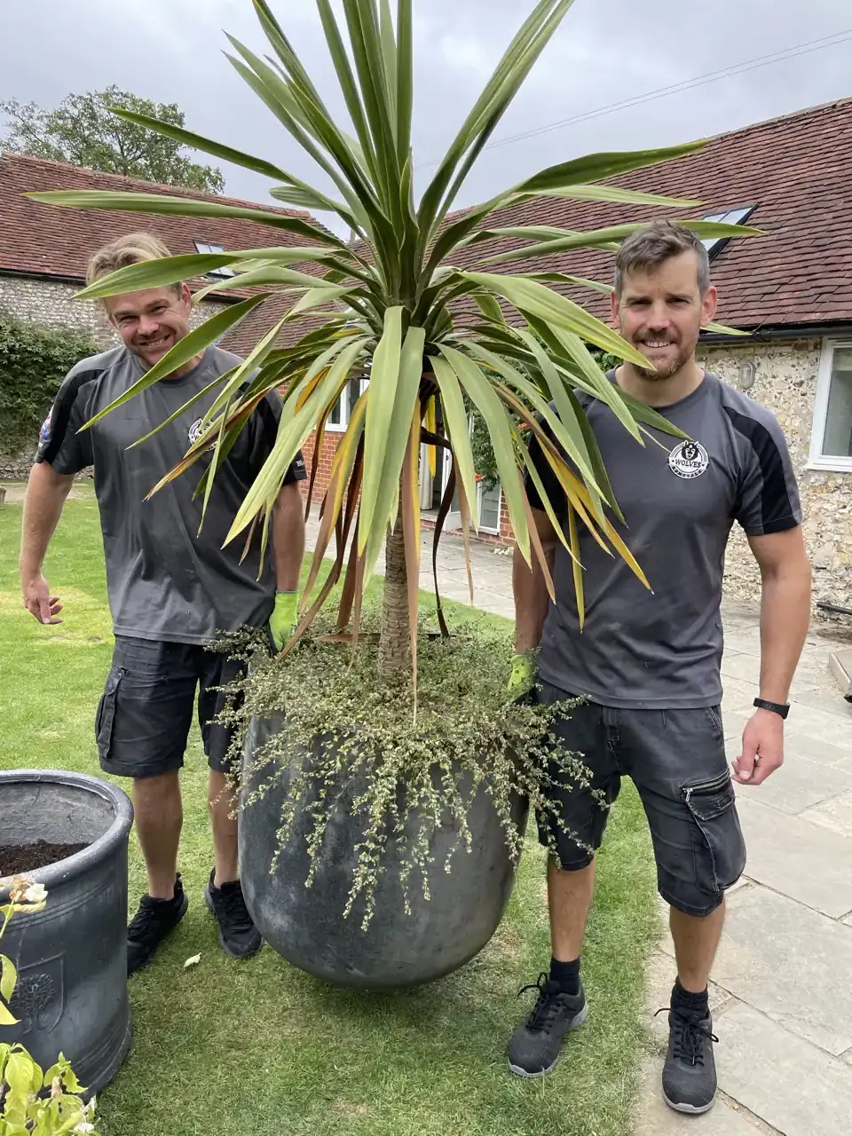 Carrying a potted palm across the garden — a Pulborough removal