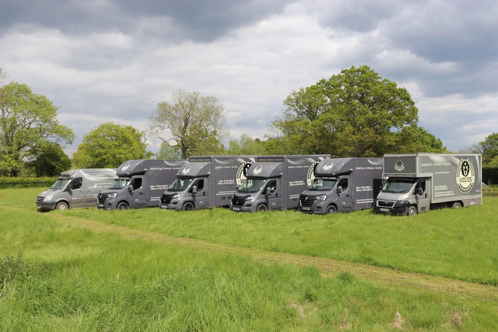 The Wolves Removals fleet of vans lined up in Sussex