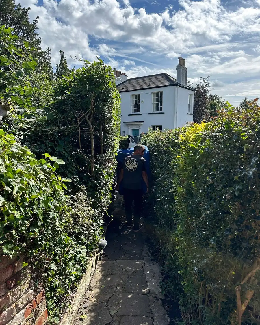 A Wolves Removals crew member carrying a wrapped item along a narrow paved path between tall hedges towards a white rendered house