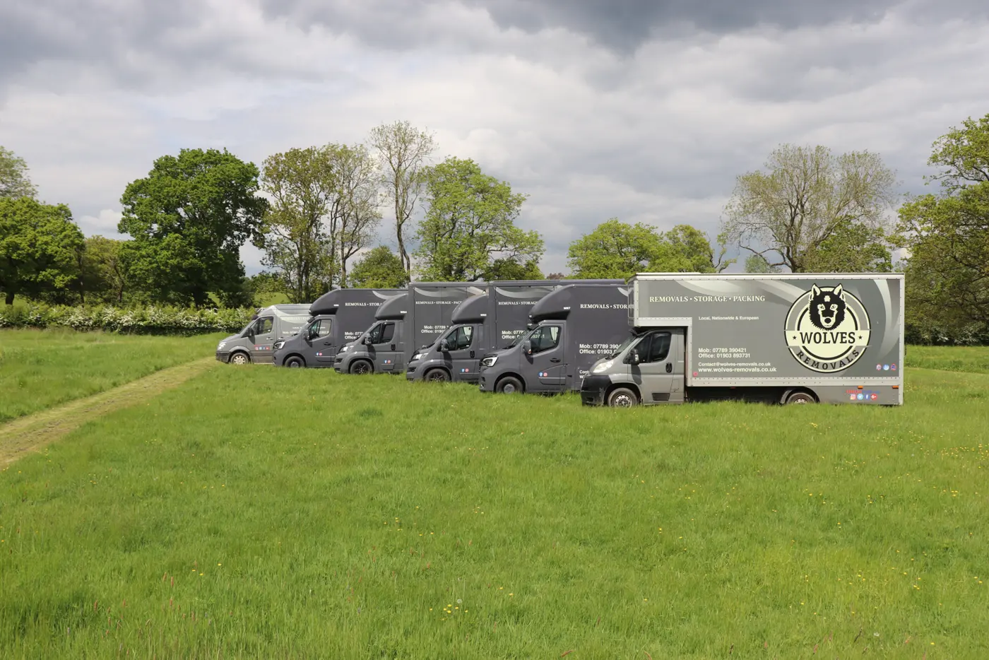 The Wolves Removals van fleet parked in a field