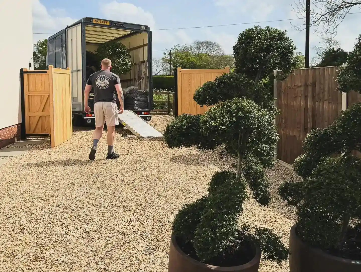 Clipped evergreen topiary in pots positioned on gravel beside a removal lorry at a house in Norfolk