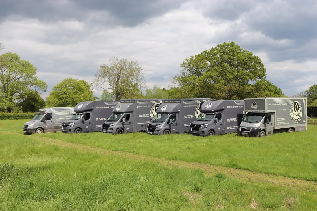 Wolves Removals loading furniture into a removal van