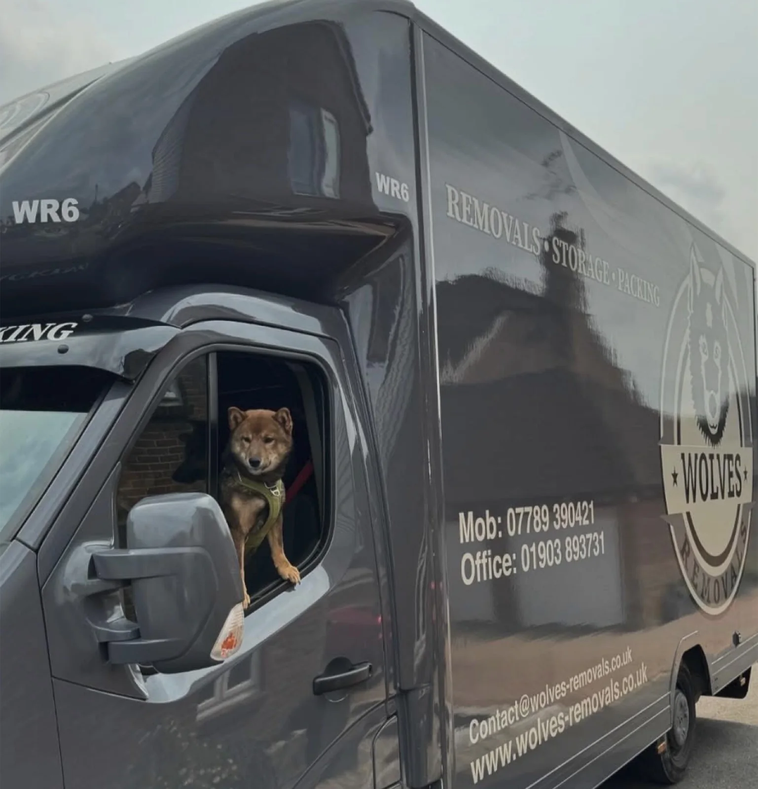 Wolves removals dog removal van
